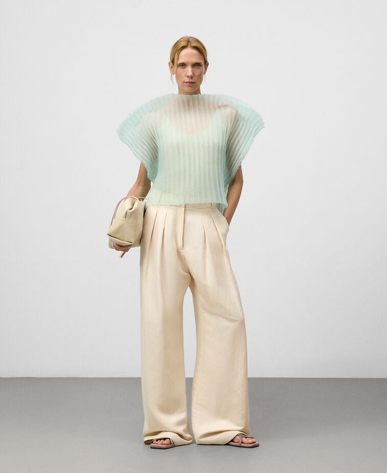 Sheer Pleated Top