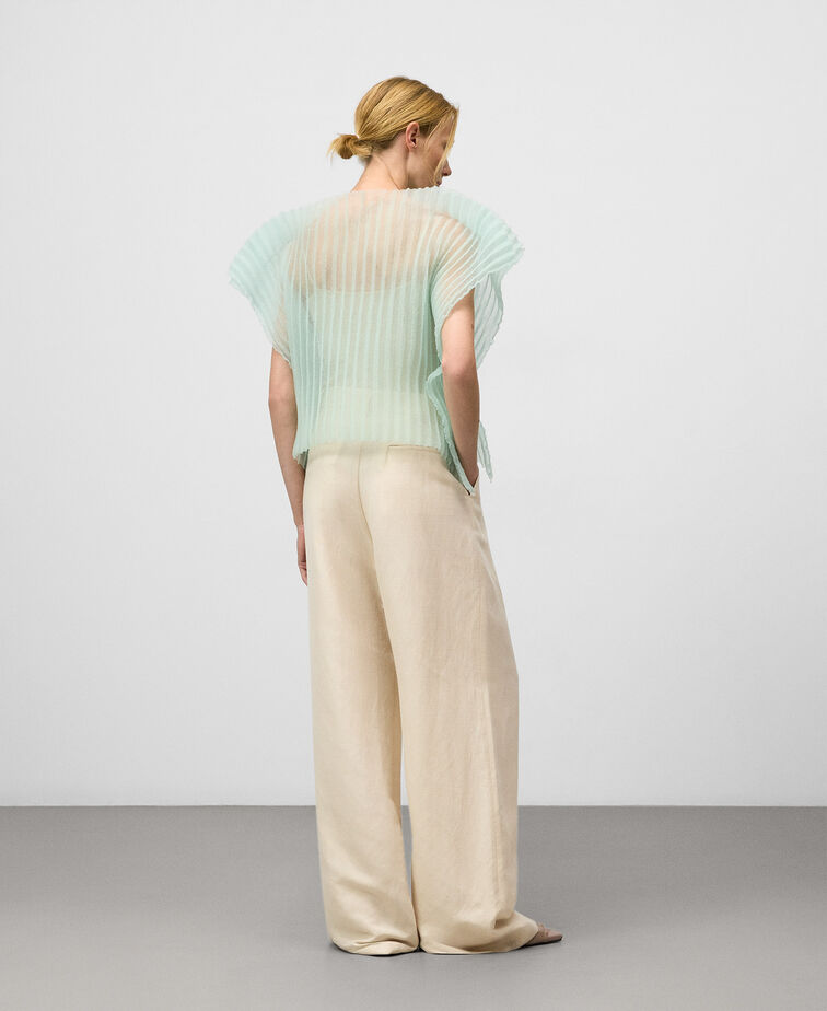 Sheer Pleated Top