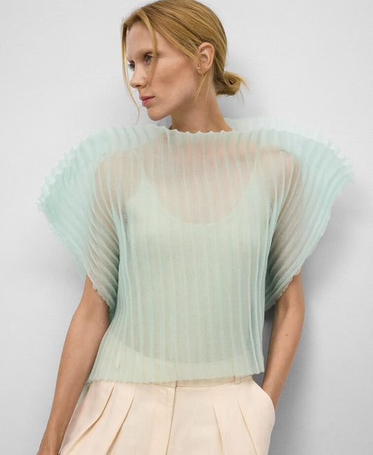 Sheer Pleated Top