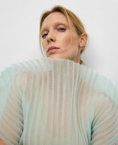 Sheer Pleated Top